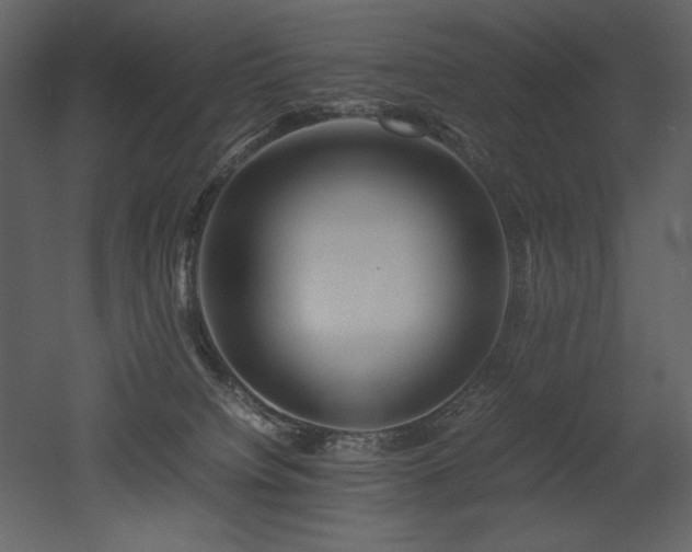 X0000053010084200507081311