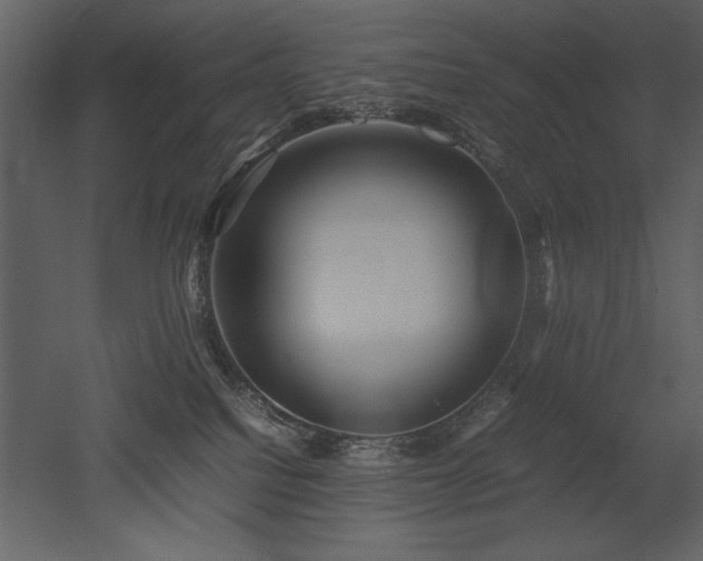 X0000053010088200507081311