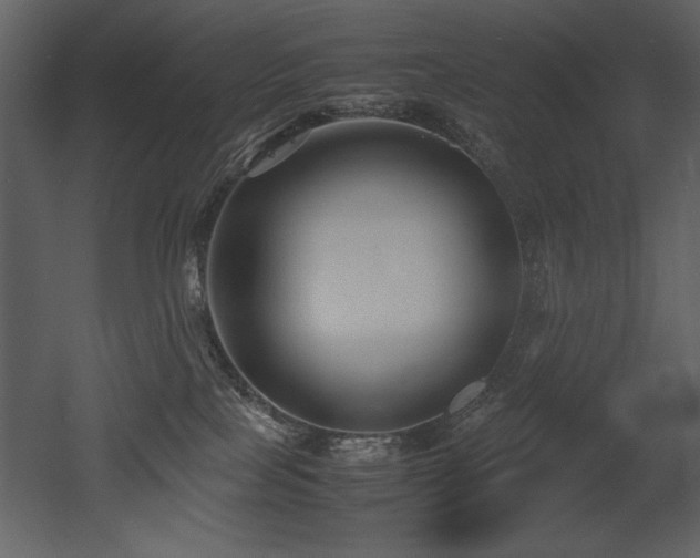 X0000053010089200507081311