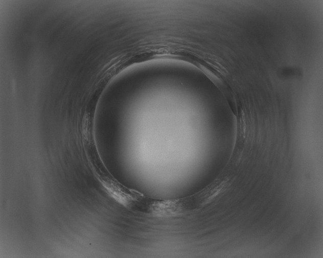 X0000053010092200507081311