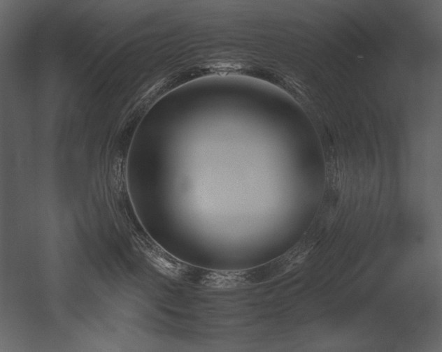 X0000053010093200507081311