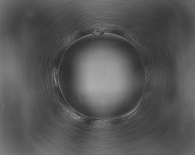 X0000053010094200507081311