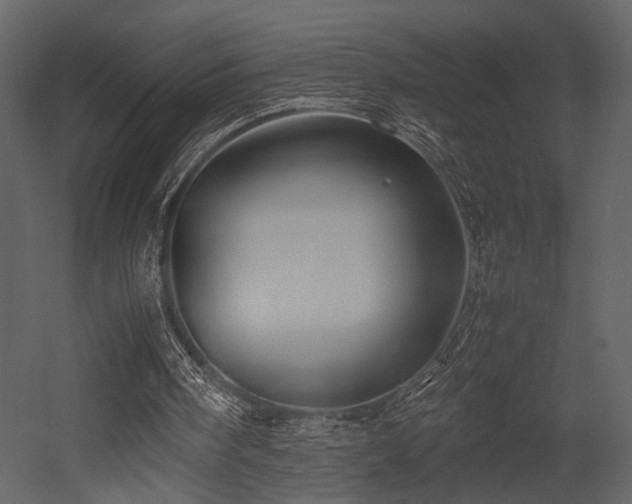 X0000053010098200507081310