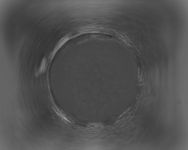 X0000053010099200507081310
