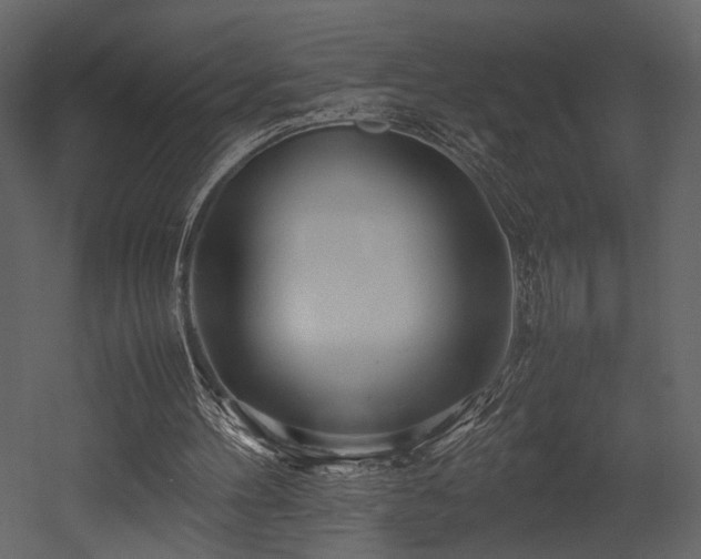 X0000053010100200507081310