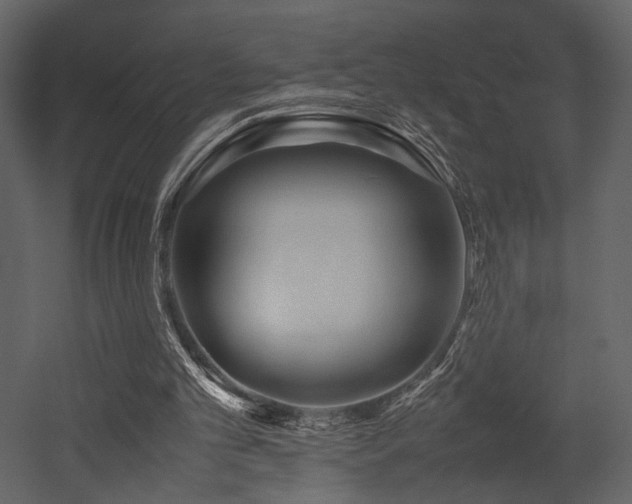 X0000053010101200507081310