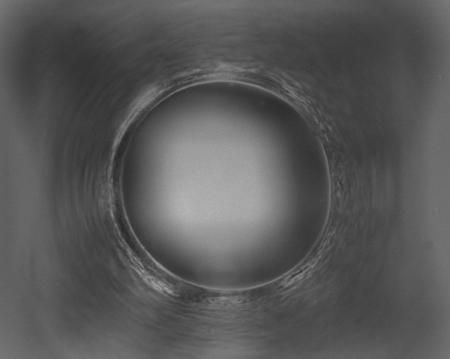 X0000053010102200507081310
