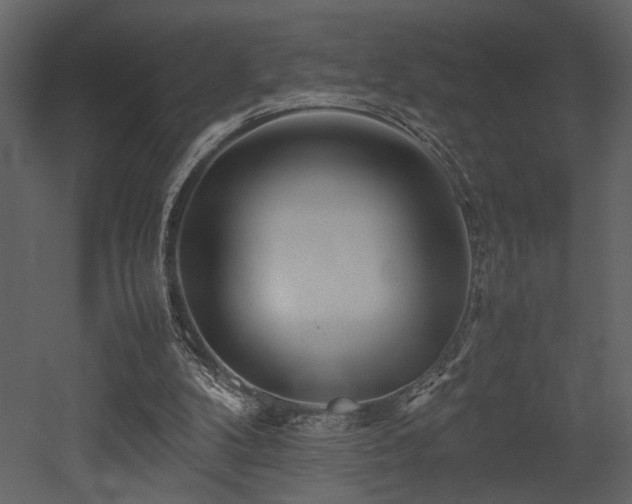 X0000053010104200507081310