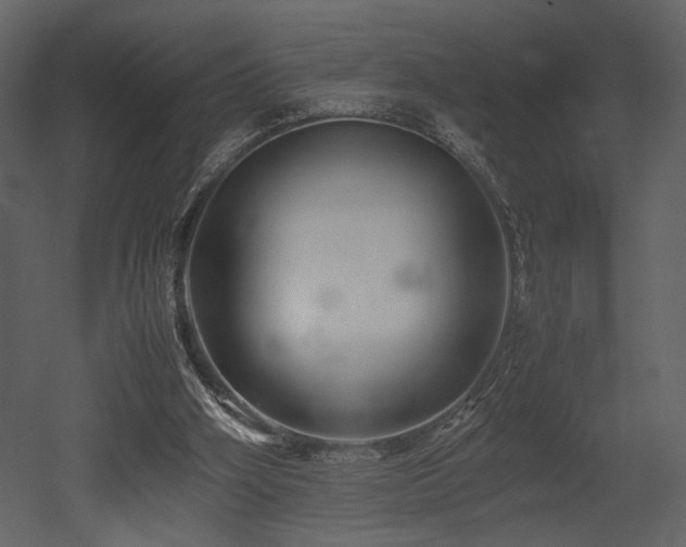 X0000053010106200507081310