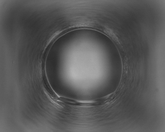X0000053010108200507081310