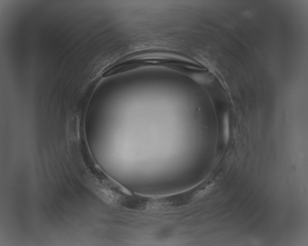 X0000053010109200507081310