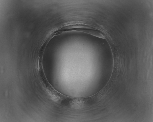 X0000053010110200507081310