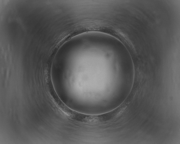 X0000053010113200507081310