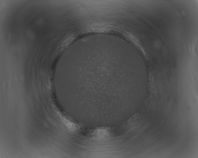 X0000053010114200507081310