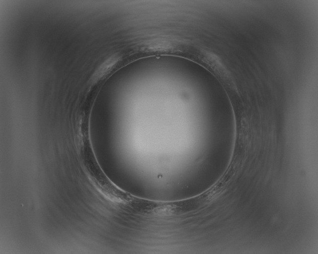 X0000053010116200507081310