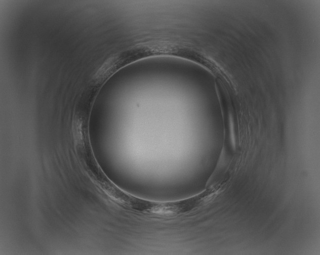 X0000053010117200507081310