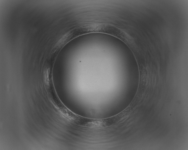 X0000053010118200507081310