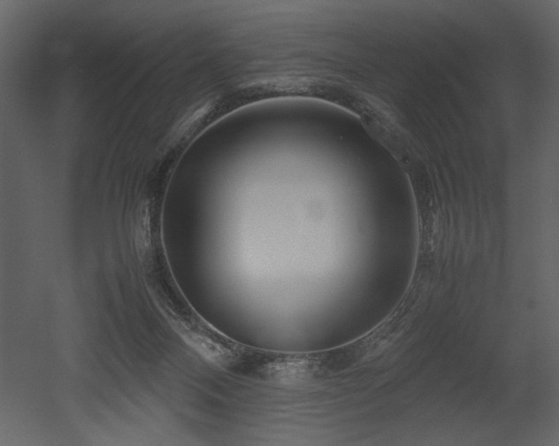 X0000053010120200507081310