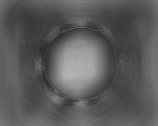 X0000053010122200507081310