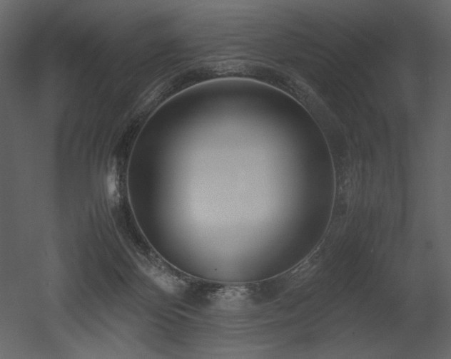 X0000053010124200507081310