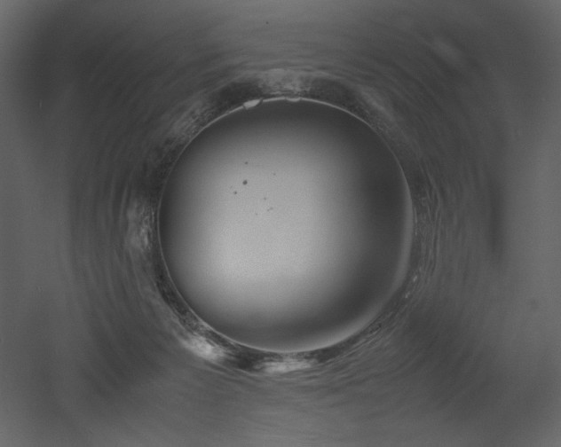 X0000053010125200507081310