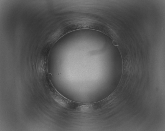X0000053010126200507081310
