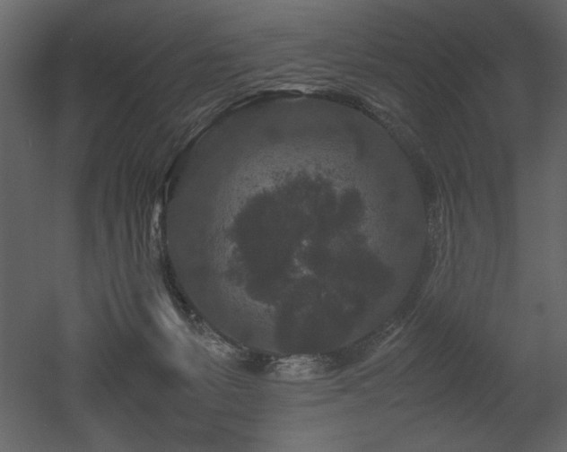 X0000053010127200507081310