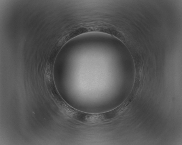 X0000053010129200507081310