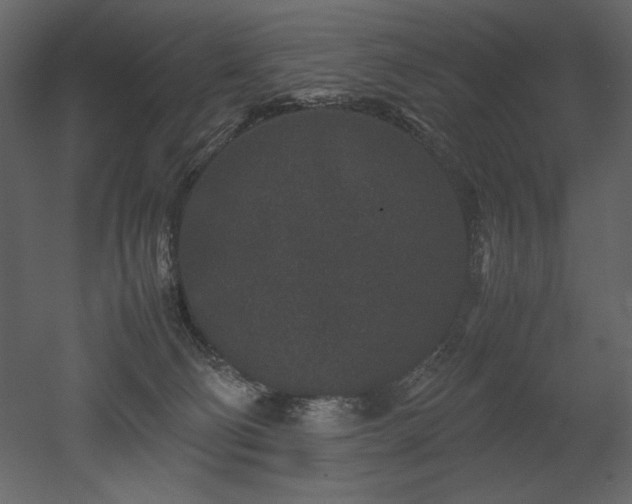 X0000053010130200507081310
