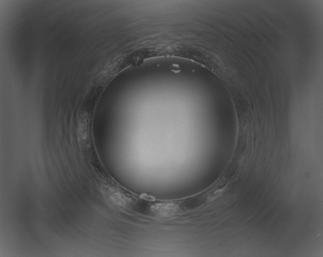 X0000053010133200507081309