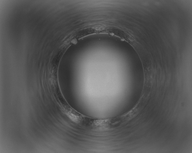X0000053010136200507081309