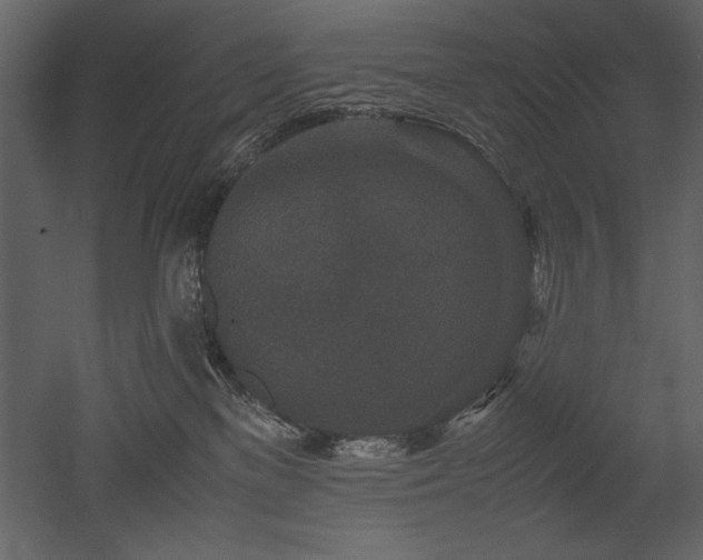X0000053010137200507081309