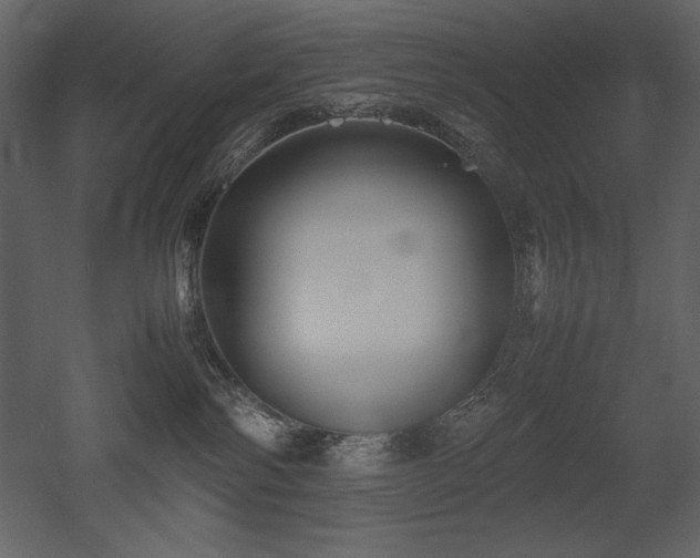 X0000053010138200507081309