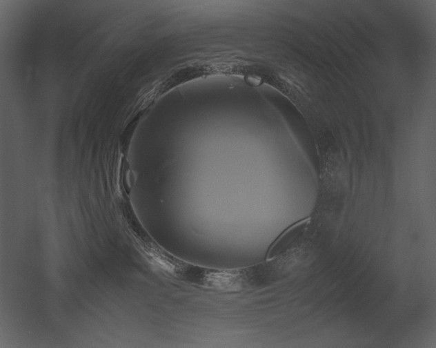 X0000053010139200507081309