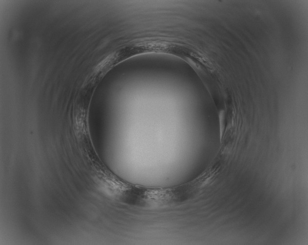 X0000053010141200507081309