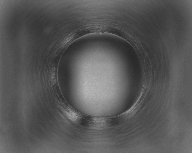 X0000053010144200507081309