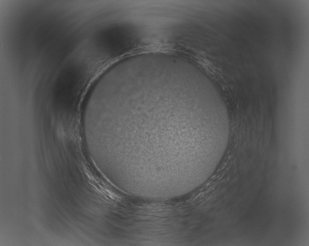 X0000053010146200507081308
