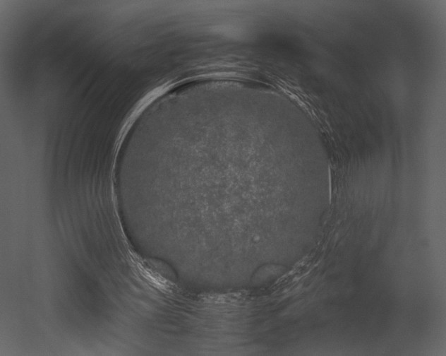 X0000053010147200507081309