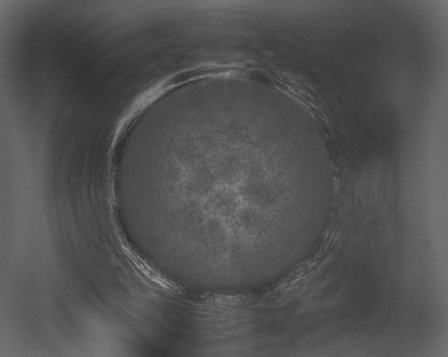X0000053010149200507081309