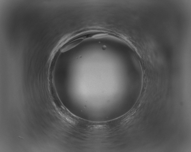 X0000053010151200507081309