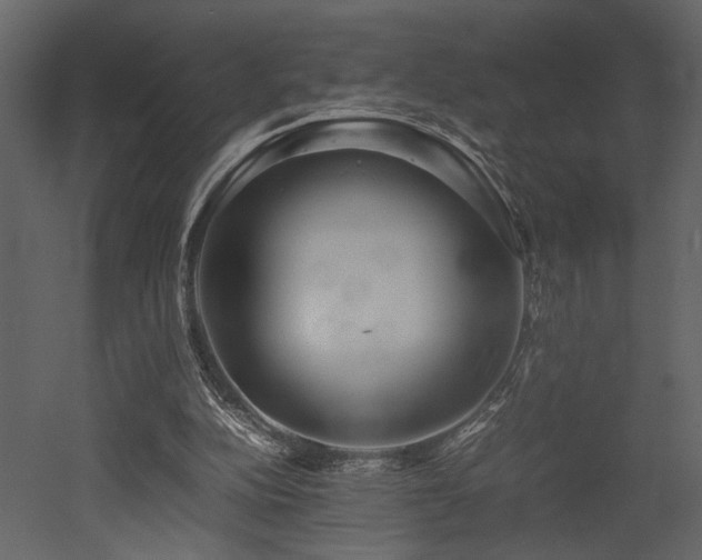 X0000053010152200507081309