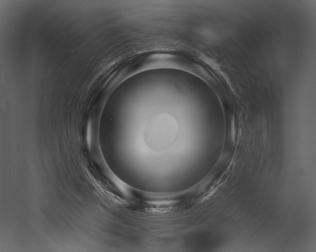 X0000053010154200507081309
