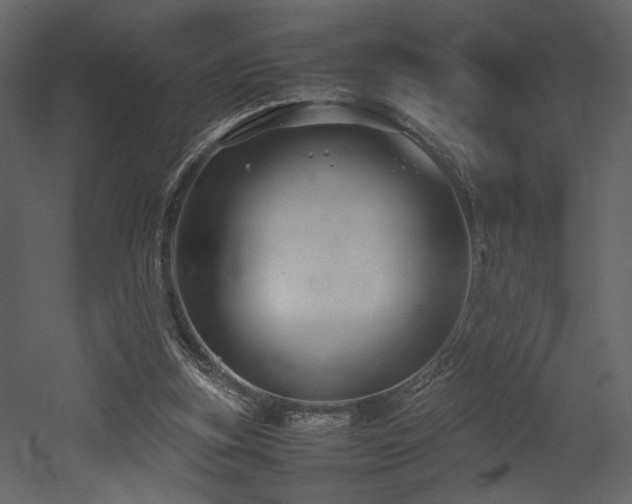 X0000053010155200507081309