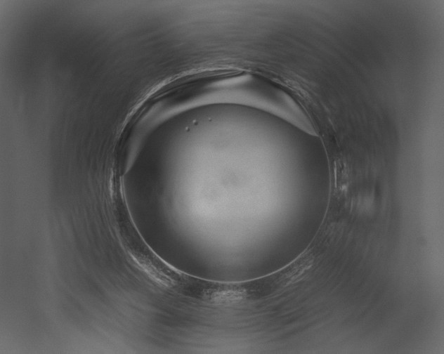 X0000053010156200507081309