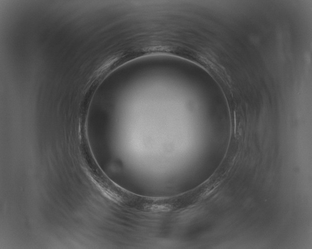 X0000053010157200507081309