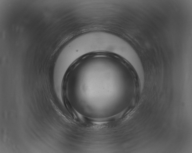 X0000053010158200507081309