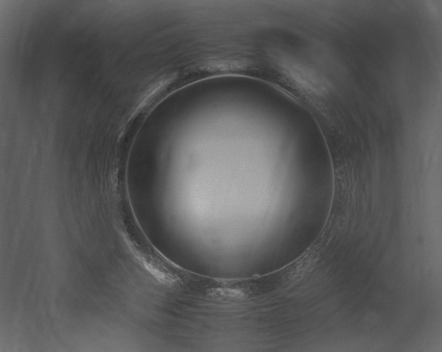 X0000053010159200507081309