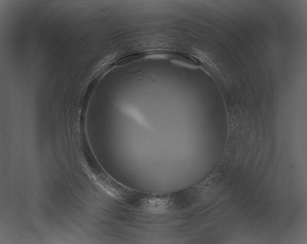 X0000053010163200507081309