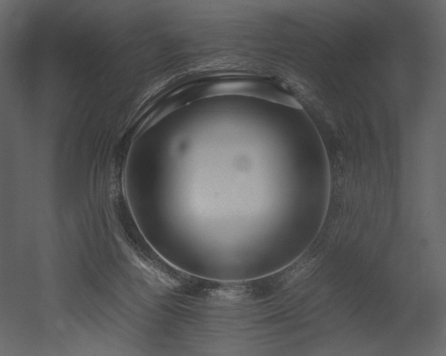 X0000053010164200507081309