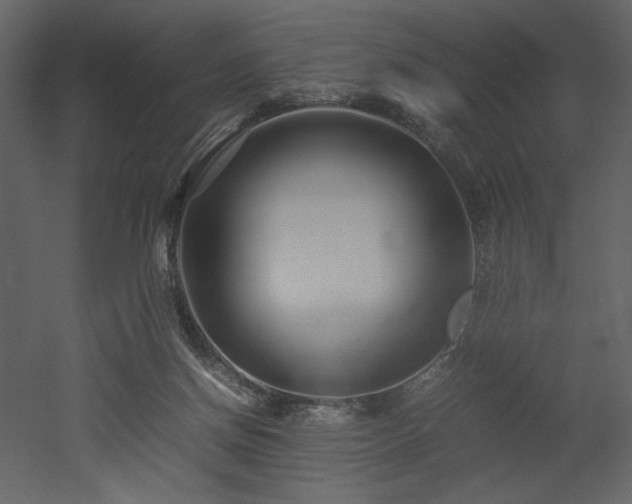 X0000053010166200507081309